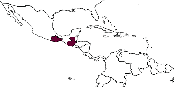 map of Erythmelus mudrila     Triapitsyn, 2007